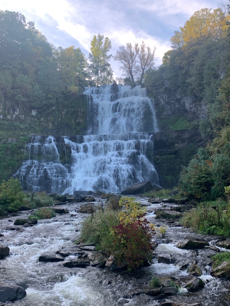 waterfall surrounded by vegetation