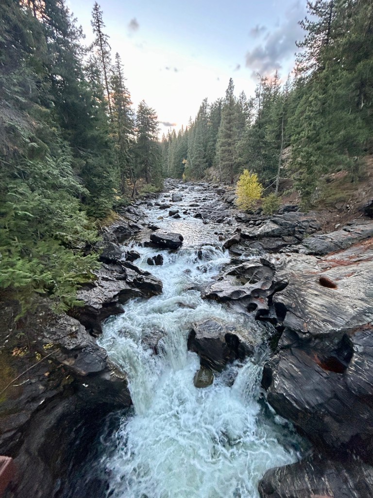 water cascading over rocks in the forest