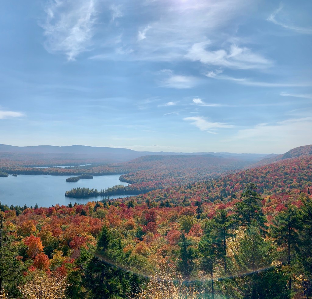 Leaves changing colors in the fall