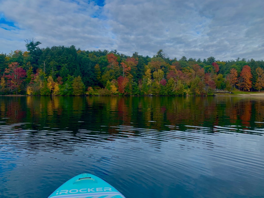 Paddleboard with trees in the background in the fall