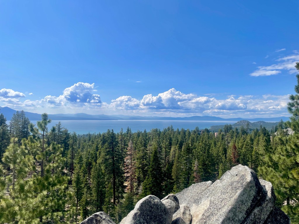 Calm lake surrounded by forest on a sunny afternoon